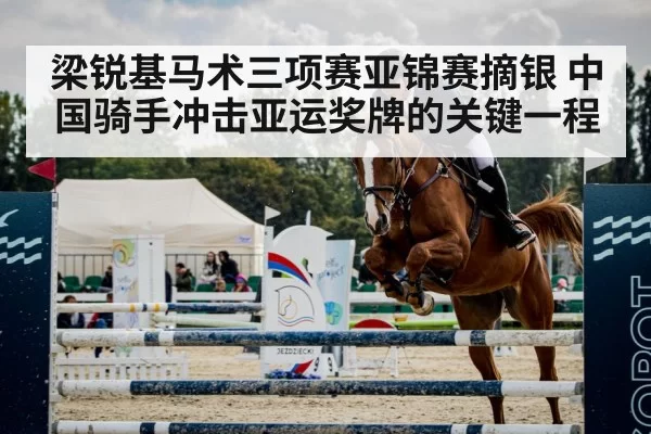 equestrian show jumping horse