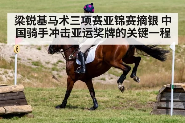 horse cross country eventing